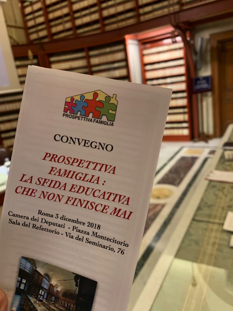 3 dicembre 2018 – Convegno alla Camera dei Deputati  PROSPETTIVA FAMIGLIA: LA SFIDA EDUCATIVA CHE NON FINISCE MAI ( Relazione )