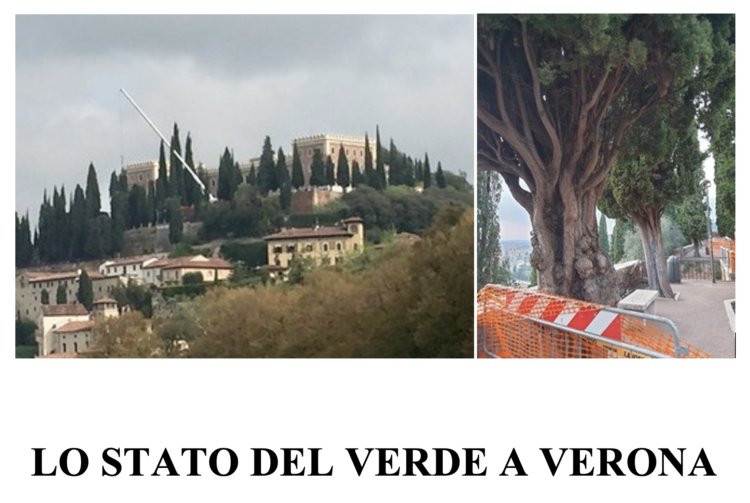 Mercoledì 17 Febbraio 2021 – Attività per la Terza Età : LO STATO DEL VERDE A VERONA